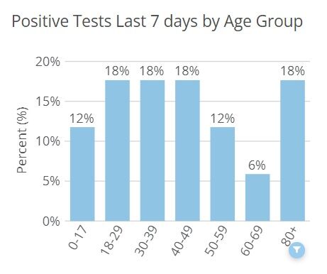 Hardin County COVID Cases Ages